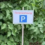 Eichhoernchen Gehlberg