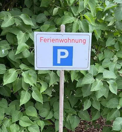 Eichhoernchen Зуль