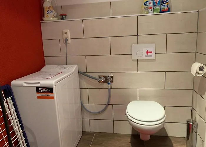 Eichhoernchen Gehlberg